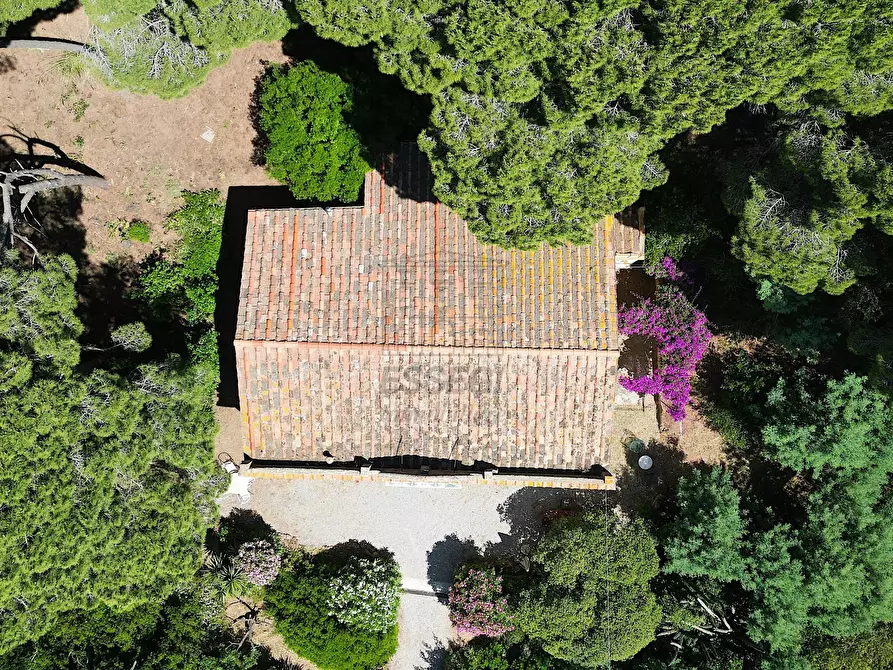 Immagine 21 di Rustico / casale in vendita  in Località Monte 4 a Porto Azzurro