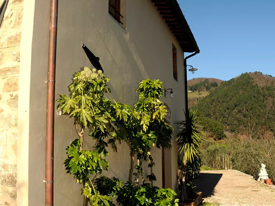 Immagine 31 di Rustico / casale in vendita  in Strada Senza Nome 5 a Pescia