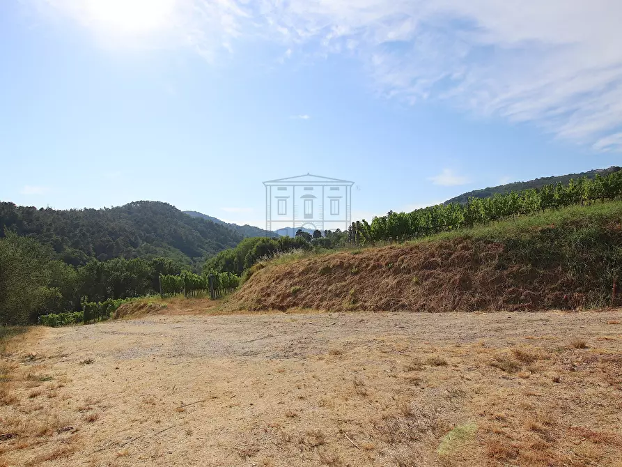 Immagine 21 di Rustico / casale in vendita  in Via del Francia 95 a Lucca