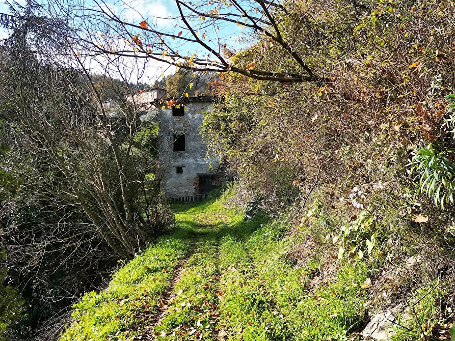 Immagine 6 di Rustico / casale in vendita  in via del brennero 1950 a Lucca