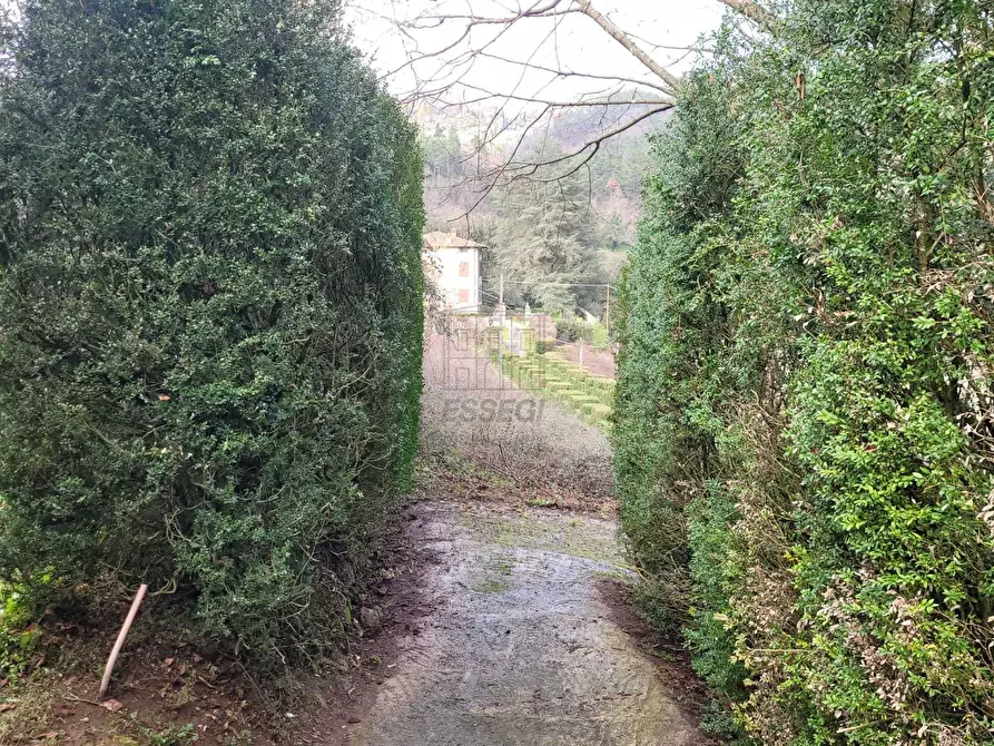 Immagine 36 di Villa in vendita  in via Colli 23 a Pescaglia