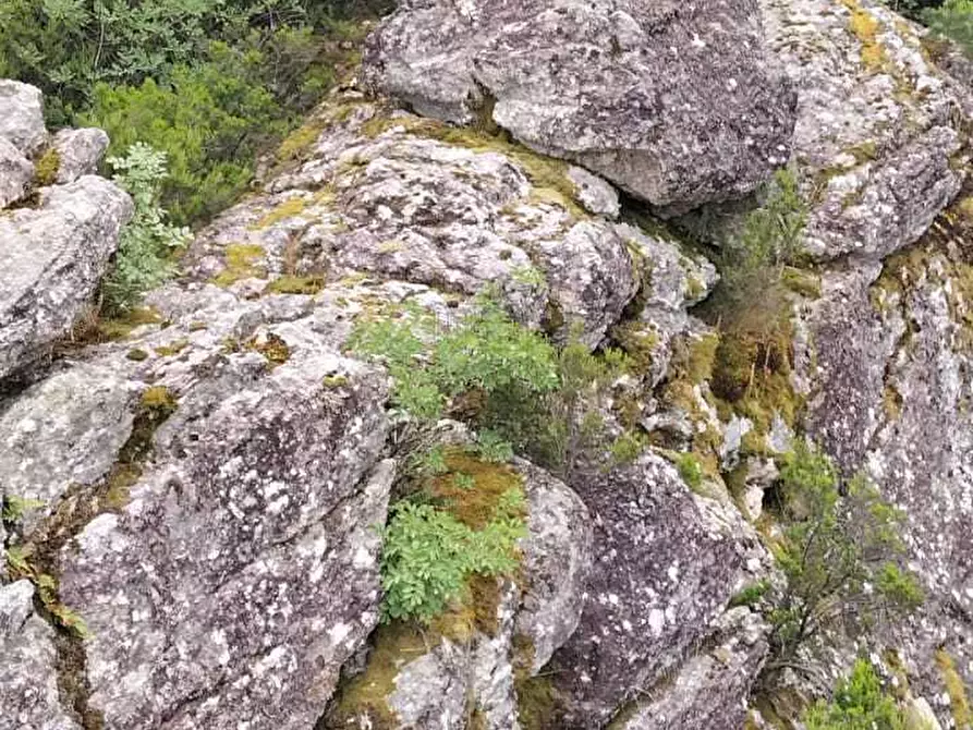 Immagine 23 di Rustico / casale in vendita  in viadon aldo mei a Buti
