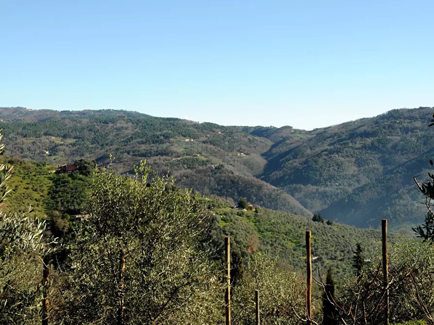 Immagine 29 di Rustico / casale in vendita  in Strada Senza Nome 5 a Pescia