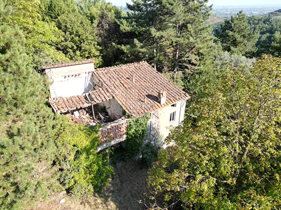 Immagine 11 di Rustico / casale in vendita  in via del Colle 355/E a Lucca