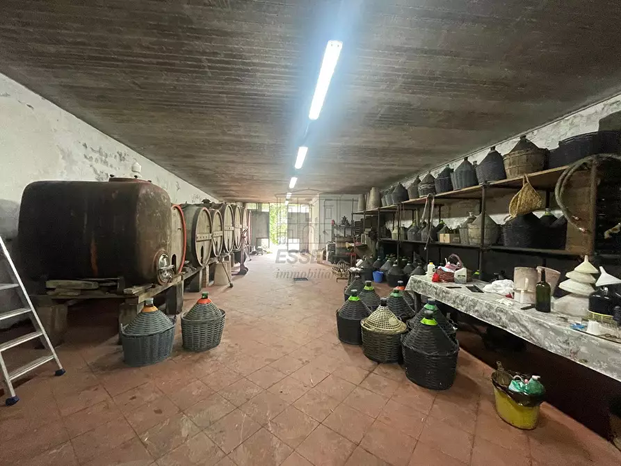 Immagine 34 di Rustico / casale in vendita  in Via della Chiesa XXXI 536 a Lucca