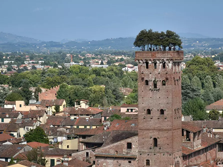 Immagine 5 di Bar / Ristorante in vendita  in Via Beccheria 35 a Lucca