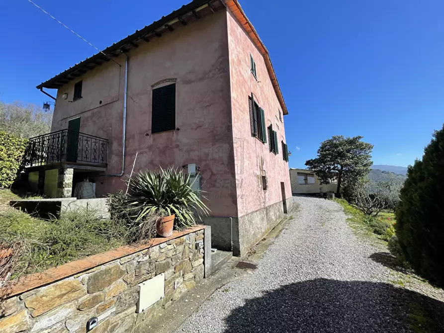 Immagine 8 di Rustico / casale in vendita  in Via di Mammoli a Lucca