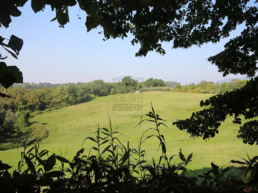 Immagine 7 di Azienda agricola in vendita  in Via Tofori a Capannori