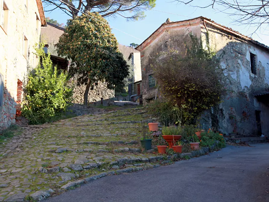 Immagine 44 di Rustico / casale in vendita  in Via di matraia a Lucca