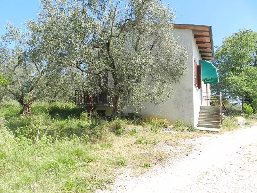 Immagine 27 di Rustico / casale in vendita  in Via del Marginone a Montecarlo