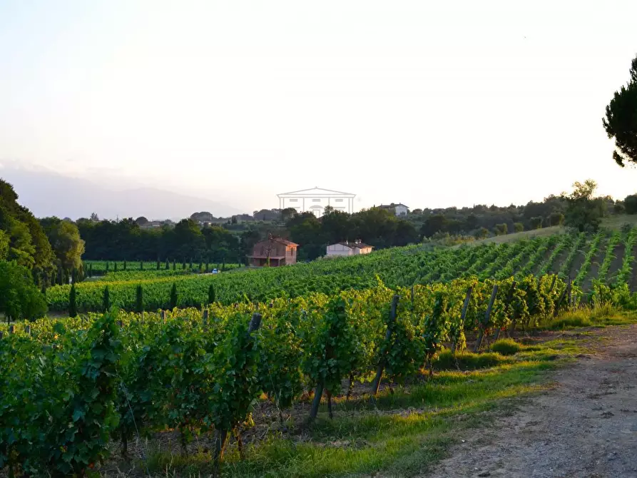 Immagine 5 di Rustico / casale in vendita  in via di san martino a Lucca