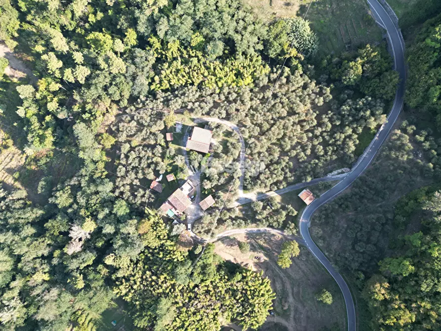 Immagine 6 di Rustico / casale in vendita  in Via di Bolognana 601 a Lucca