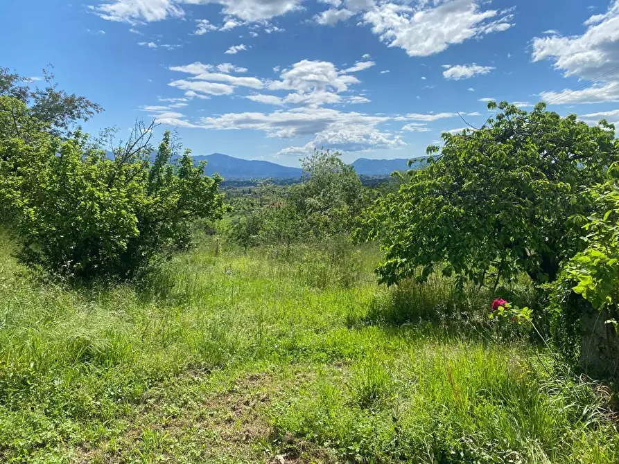 Immagine 14 di Rustico / casale in vendita  in Via di Palmata 425 a Lucca