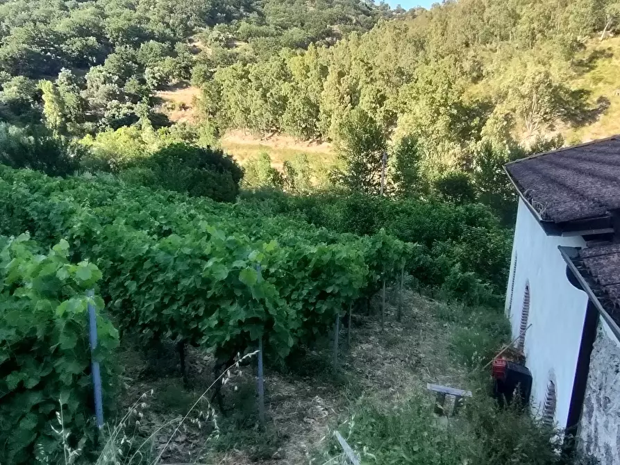 Immagine 6 di Casa indipendente in vendita  in Via San Sebastiano 11 a Palizzi