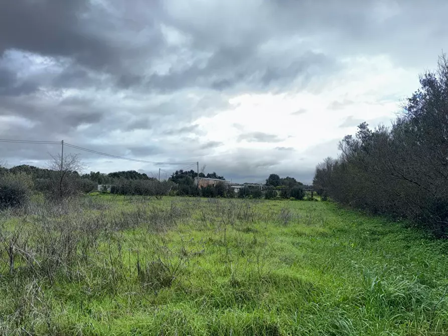 Immagine 3 di Terreno agricolo in vendita  a San Sperate