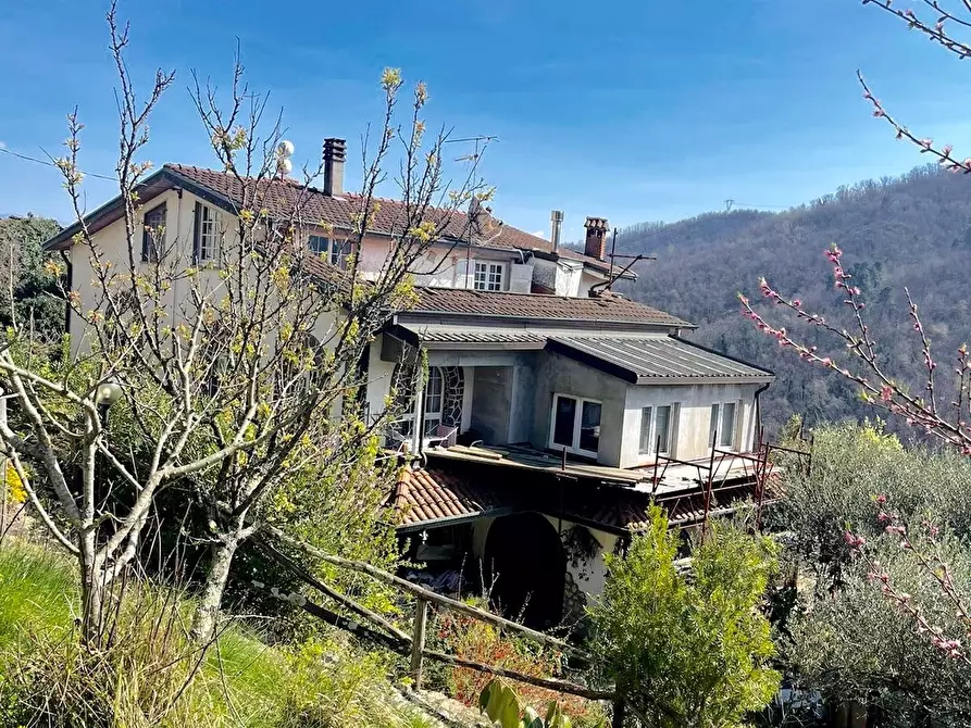 Immagine 2 di Casa trifamiliare in vendita  a Tresana