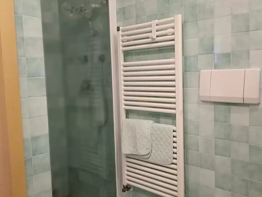 Immagine 19 di Trilocale in vendita  a Ameglia