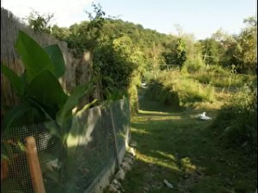 Immagine 4 di Rustico / casale in vendita  a Sarzana