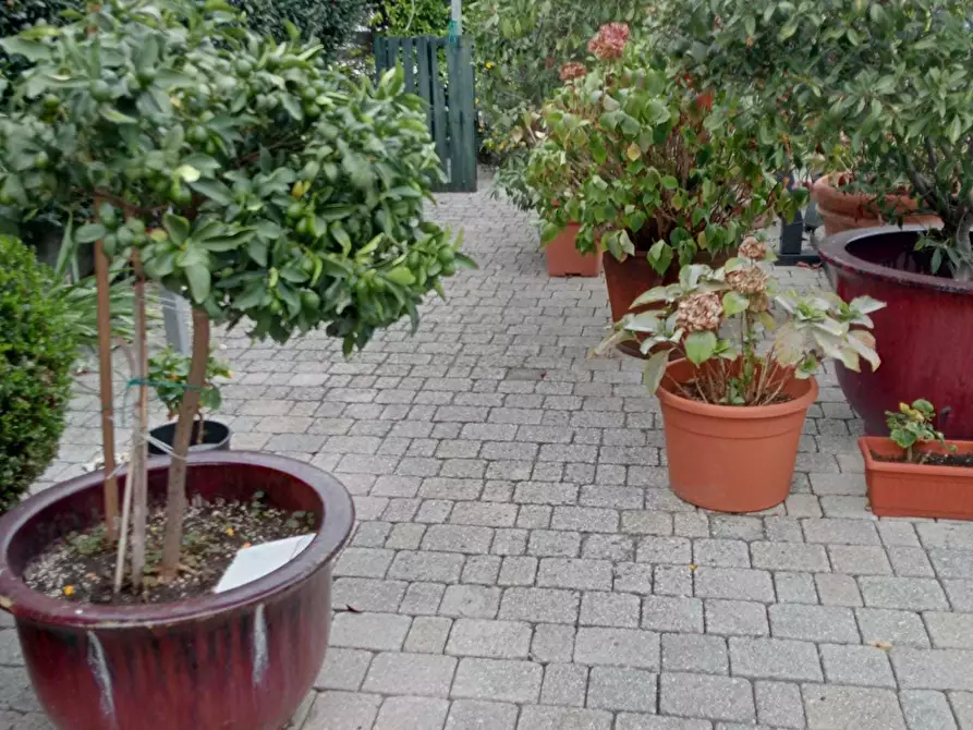 Immagine 3 di Casa semindipendente in vendita  a Ameglia