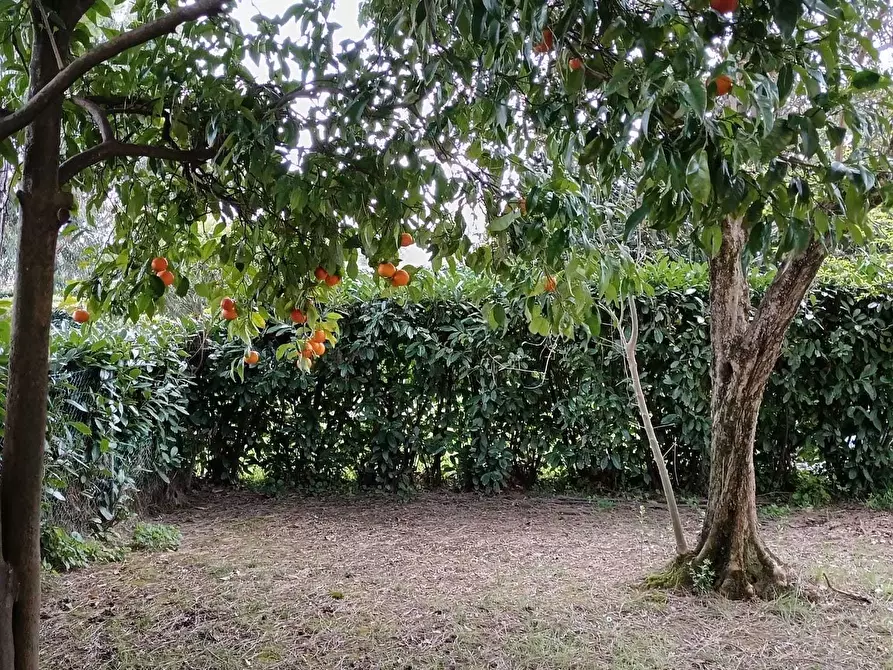 Immagine 29 di Casa semindipendente in vendita  a Ameglia