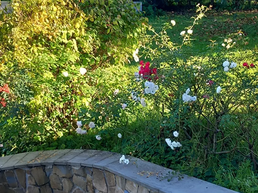 Immagine 25 di Casa indipendente in affitto  a Sarzana