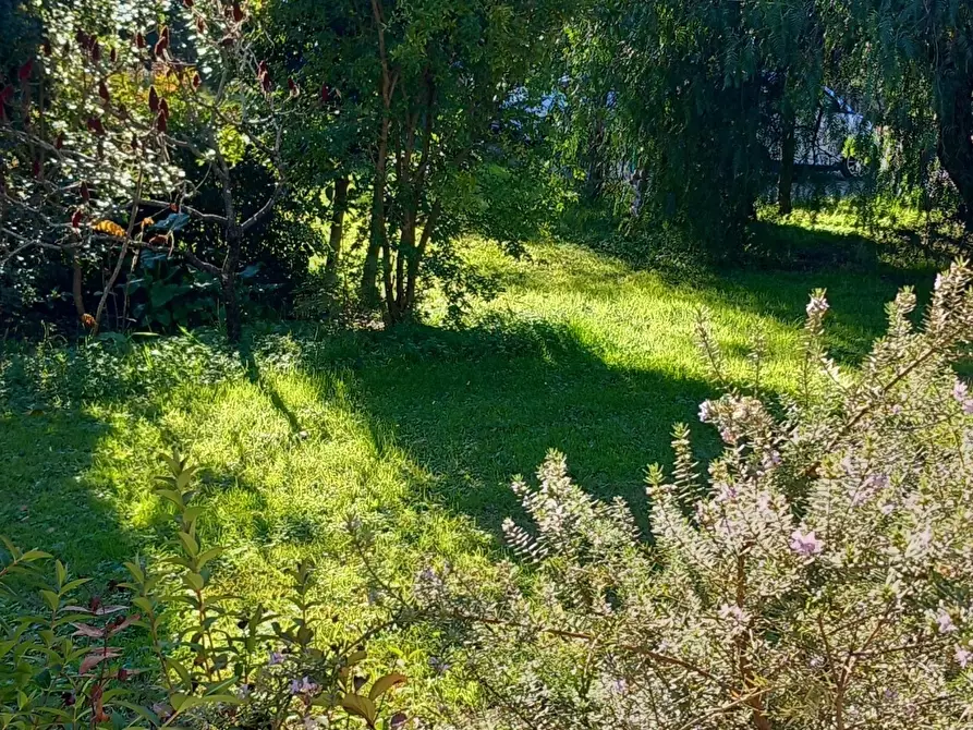 Immagine 27 di Casa indipendente in affitto  a Sarzana