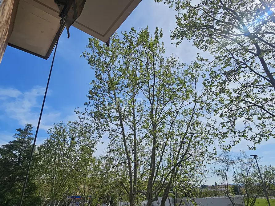 Immagine 12 di Appartamento in vendita  in Viale Giuseppe Verdi snc a Jesi