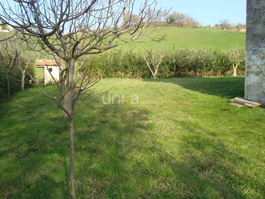 Immagine 15 di Casa indipendente in vendita  in via Barchio 2 a Cupramontana