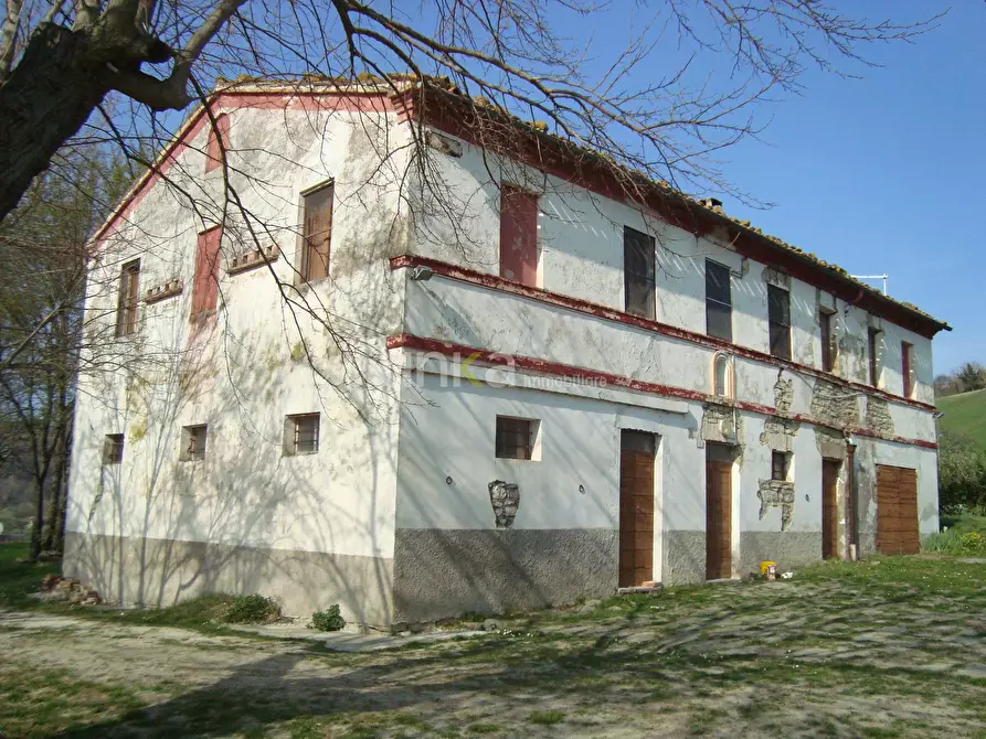 Immagine 8 di Casa indipendente in vendita  in via Barchio 2 a Cupramontana