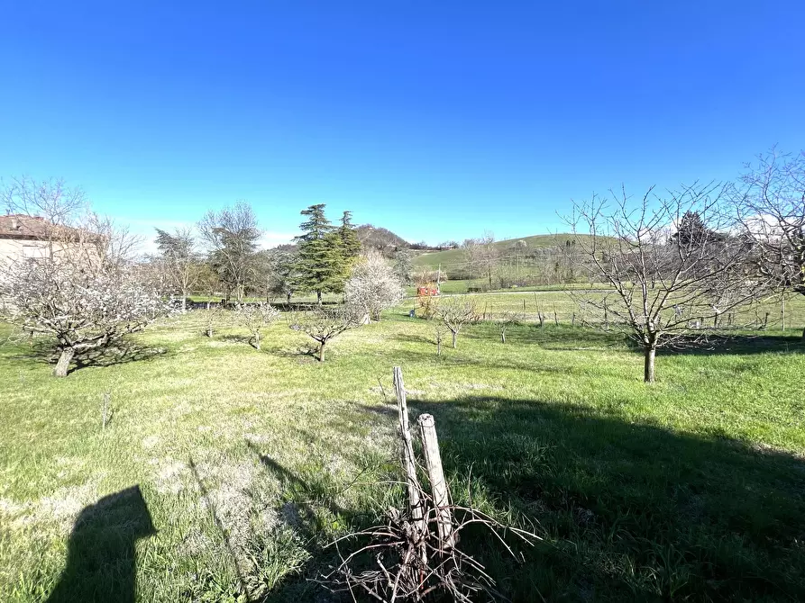 Immagine 9 di Terreno agricolo in vendita  in Via Tiola a Valsamoggia