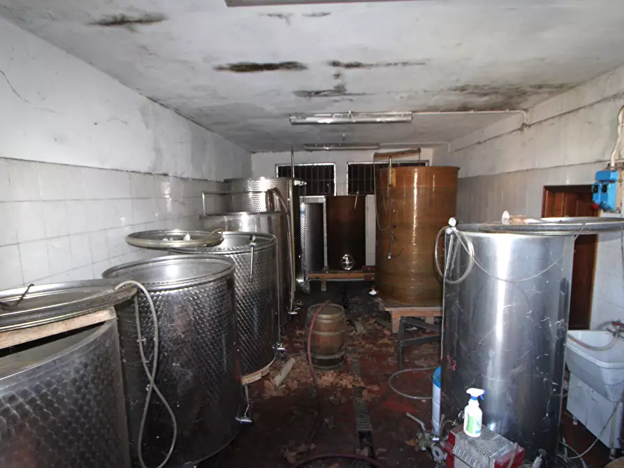 Immagine 35 di Porzione di casa in vendita  in Via Monteveglio a Valsamoggia