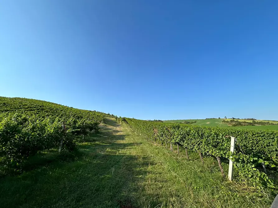 Immagine 18 di Porzione di casa in vendita  in Via Barlete a Valsamoggia