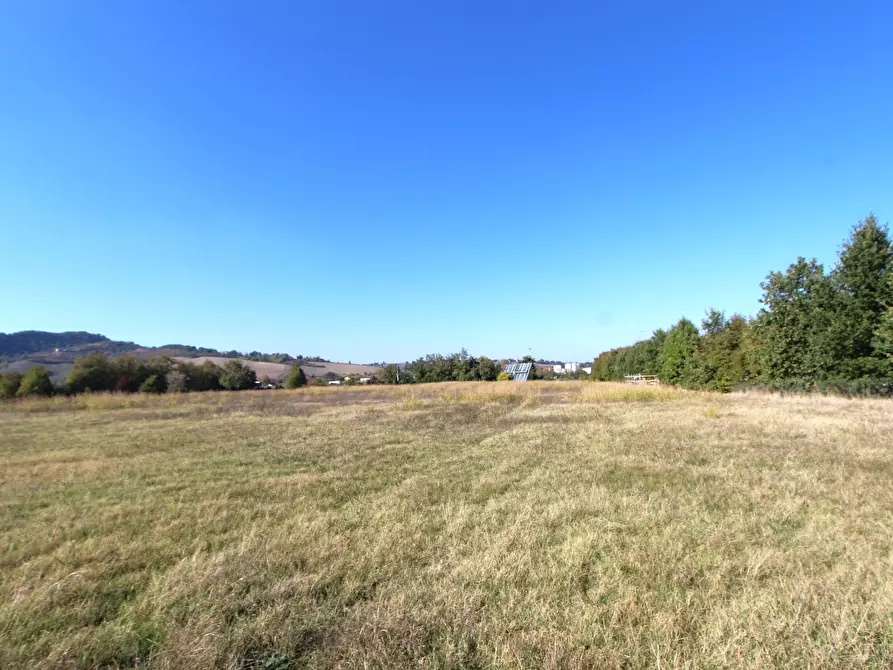 Immagine 11 di Terreno industriale in vendita  in Via Cassola a Valsamoggia