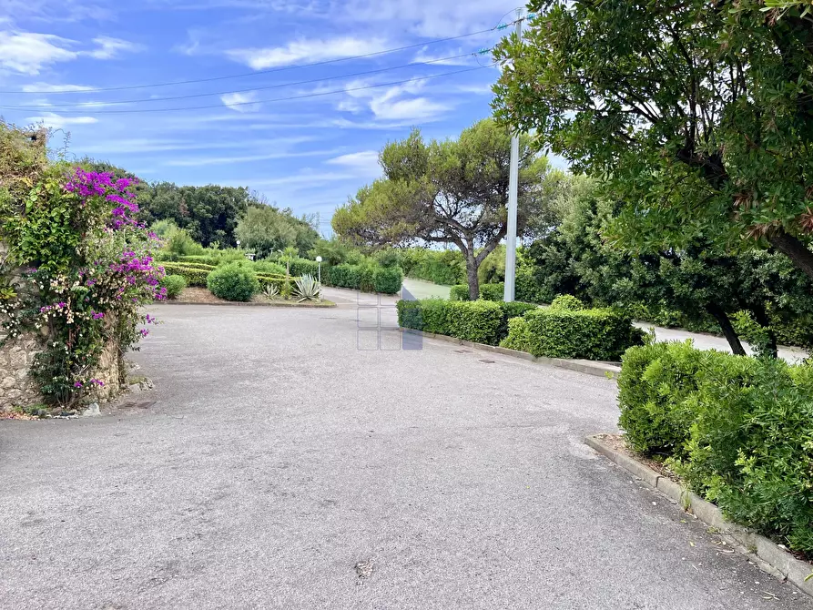 Immagine 4 di Appartamento in vendita  in Via Aurelia 820 a Rosignano Marittimo