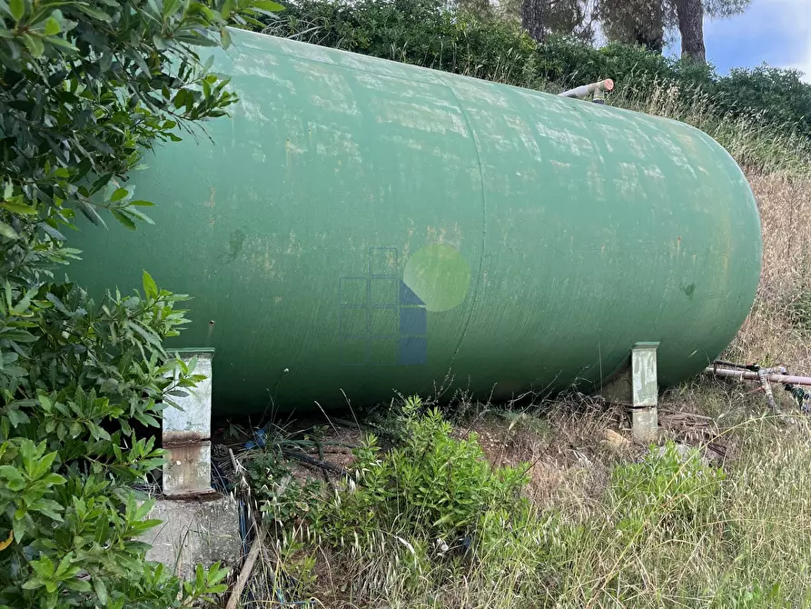Immagine 17 di Rustico / casale in vendita  in Via Traversa Livornese 11 a Rosignano Marittimo