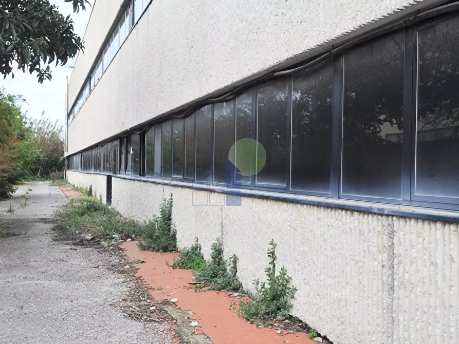 Immagine 26 di Attività artigianale in vendita  in Via della Padula 11 a Livorno