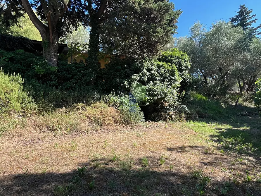 Immagine 13 di Terreno agricolo in vendita  in Via delle More 8 a Livorno