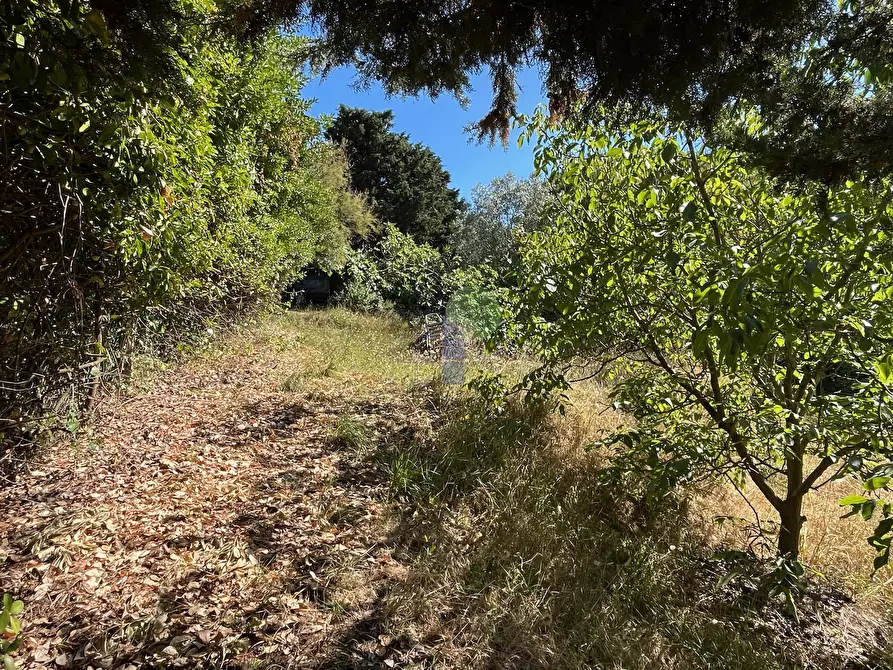 Immagine 17 di Terreno agricolo in vendita  in Via delle More 8 a Livorno