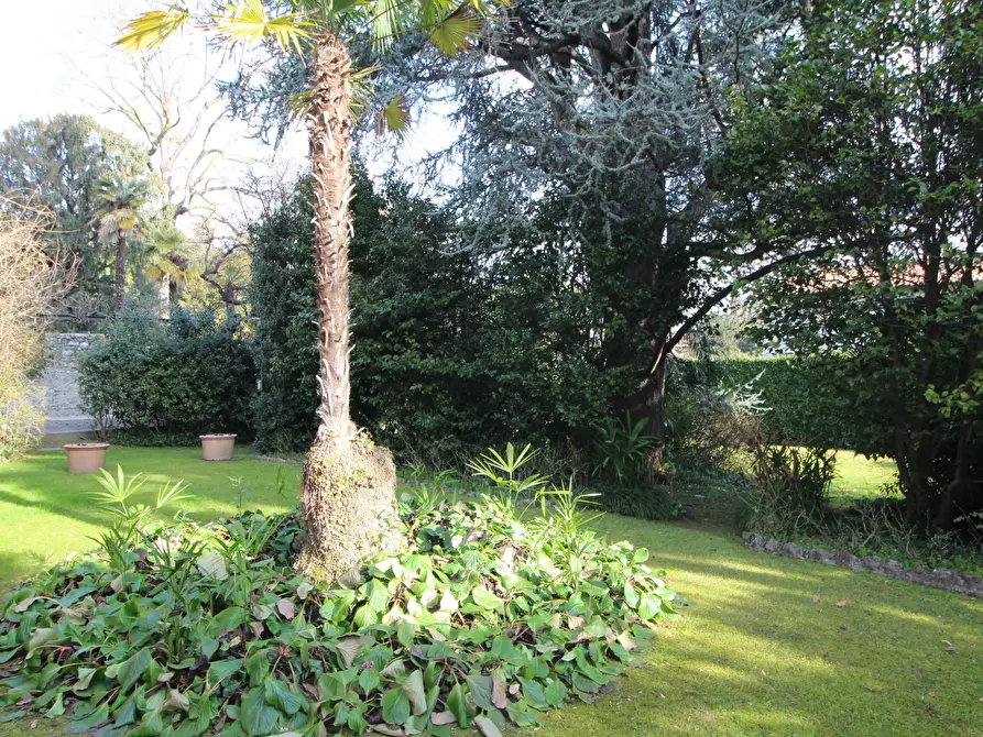 Immagine 15 di Trilocale in affitto  in Via XX Settembre 1 a Arona