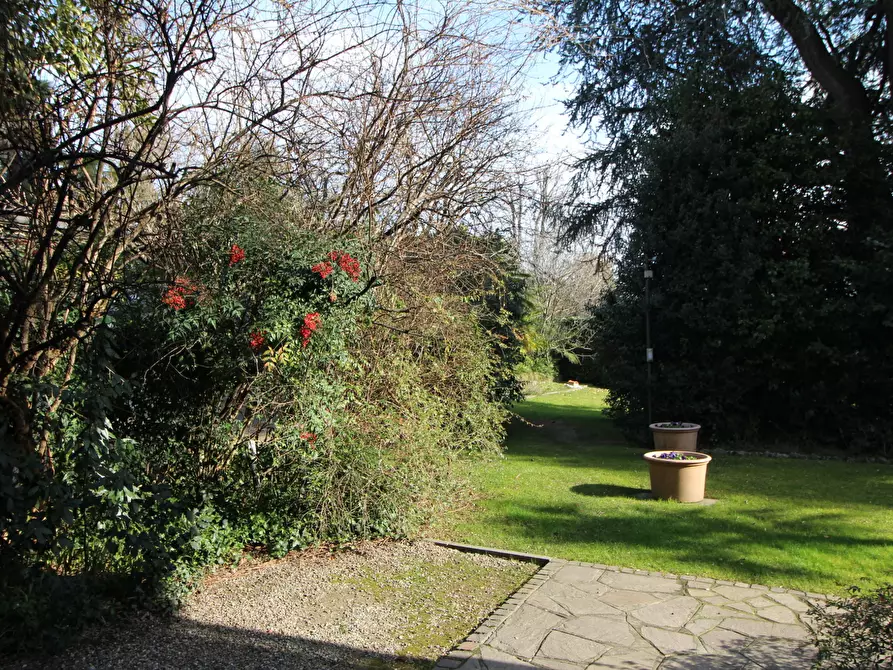 Immagine 50 di Trilocale in affitto  in Via XX Settembre 1 a Arona