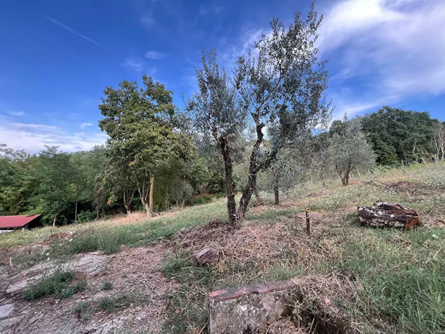 Immagine 16 di Rustico / casale in vendita  in Via di Vacciano a Impruneta