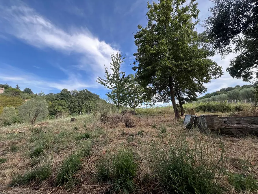 Immagine 15 di Rustico / casale in vendita  in Via di Vacciano a Impruneta