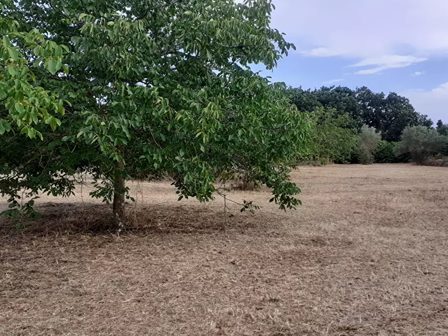 Immagine 61 di Villetta a schiera in vendita  in Via Acre 19 a Palazzolo Acreide