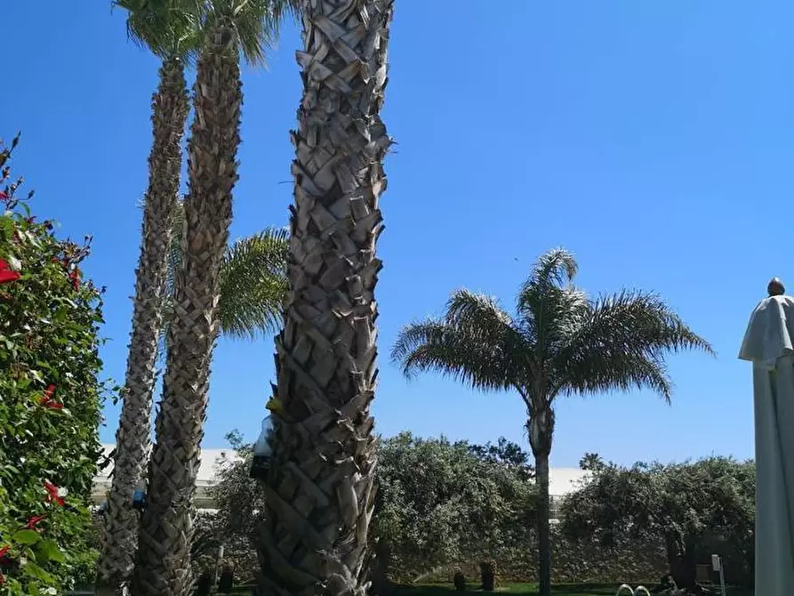 Immagine 27 di Villa in vendita  in Viale delle Rose 41 a Scicli