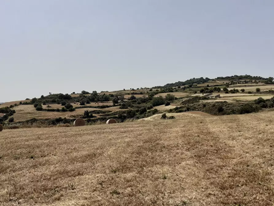 Immagine 38 di Rustico / casale in vendita  in c.da Poi a Palazzolo Acreide