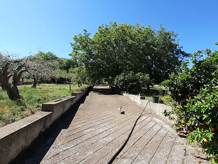 Immagine 19 di Rustico / casale in vendita  in Strada Provinciale 24 21 a Noto