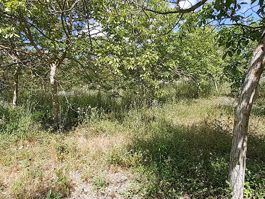 Immagine 32 di Villa in vendita  in Strada Statale 287 a Noto