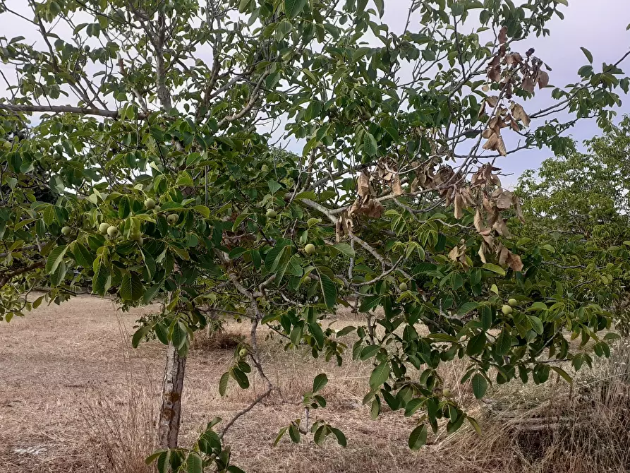 Immagine 74 di Villetta a schiera in vendita  in Via Acre 19 a Palazzolo Acreide