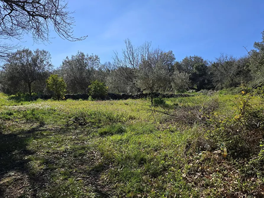Immagine 28 di Terreno agricolo in vendita  in contrada Santa Lucia di Mendola a Noto