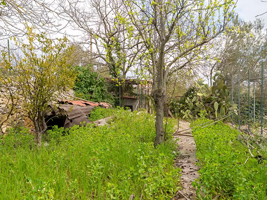 Immagine 39 di Villetta a schiera in vendita  in Via Acre 19 a Palazzolo Acreide